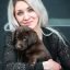 labrador_von_der_zaubergrube_1711360800_3331458577413173994_37528282211