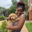 thedog_broker_1731661937_3501756597244513735_45267442664